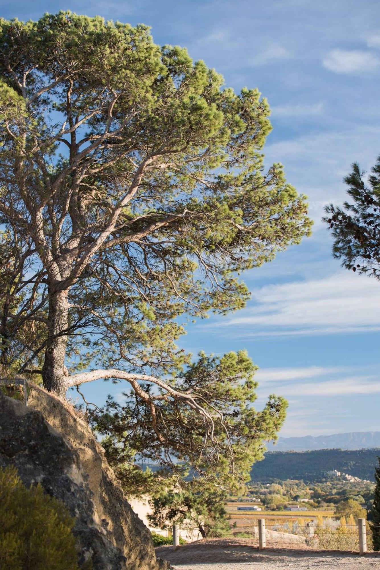 Charmante Maison De Village Au Coeur Du Luberon คุคุรง ภายนอก รูปภาพ